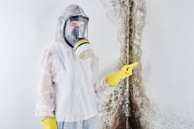 Why You Should Choose Our Mold Remediation Services in Milford, NE